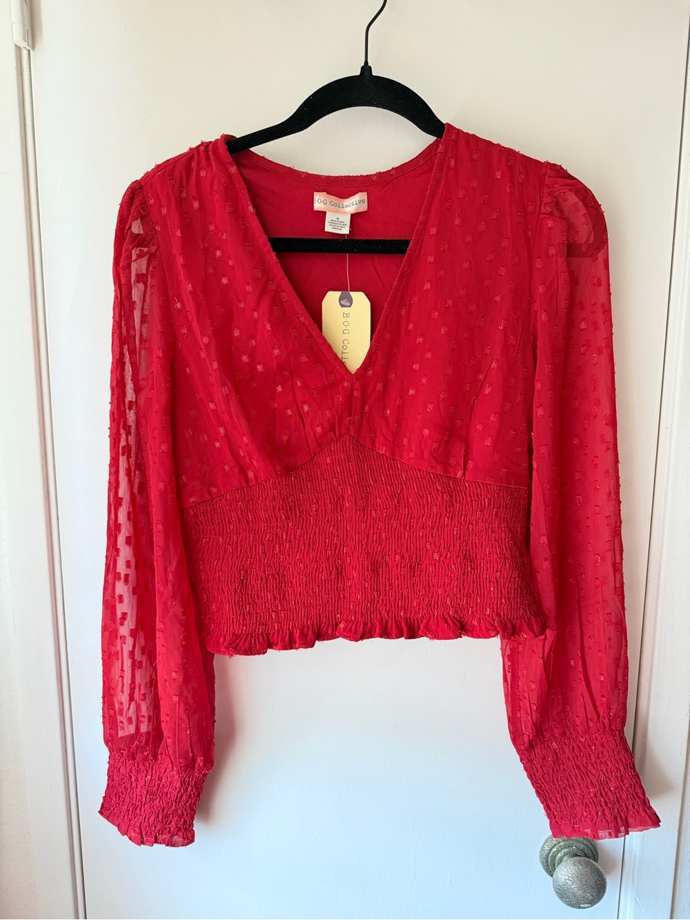 Scarlet Swiss Dot Smocked Waist V-Neck Blouse